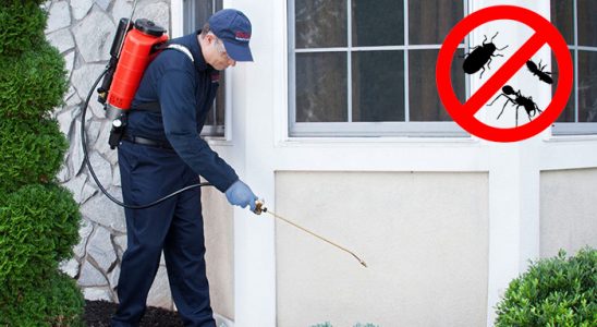 Battalgazi Dezenfeksiyon böcek ilaçlama ve haşere kontrolü — ilaclama-tr.com